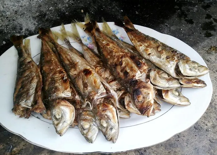 Pensionat Paladina 3*